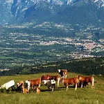 Ka' Tari Ponte nellʼAlpi
