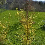 Ka' Tari Ponte nellʼAlpi