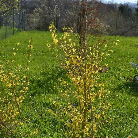 Ka' Tari Ponte nellʼAlpi