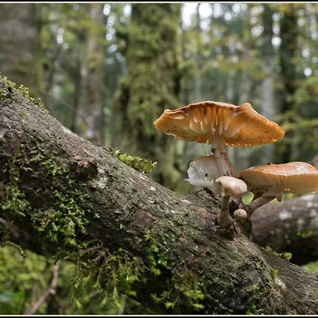 Ka' Tari Apartamento *