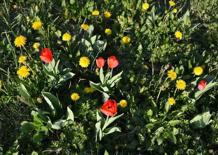 Ka' Tari * Ponte nellʼAlpi