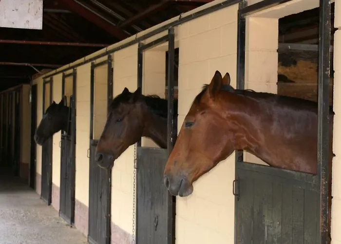 Ka' Tari Apartamento *