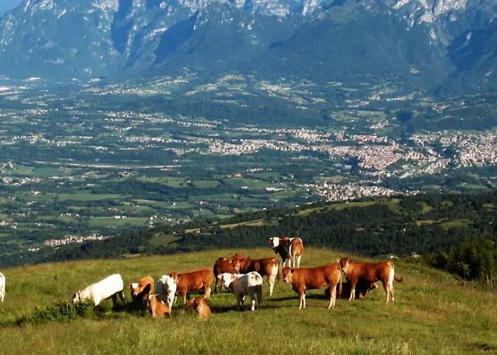 Ka' Tari Ponte nellʼAlpi