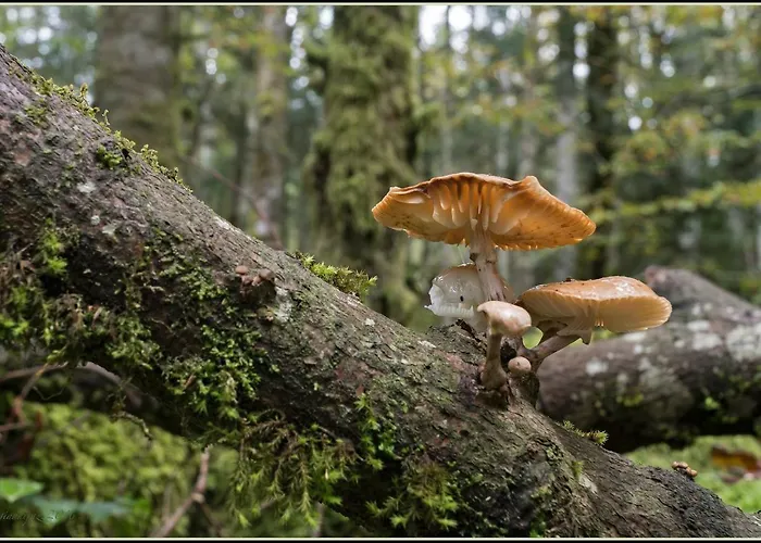 Ka' Tari Apartamento *