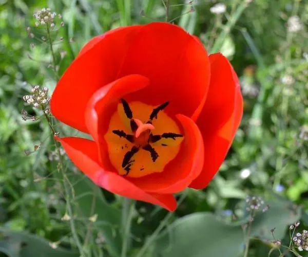 Apartamento Ka' Tari Ponte nellʼAlpi