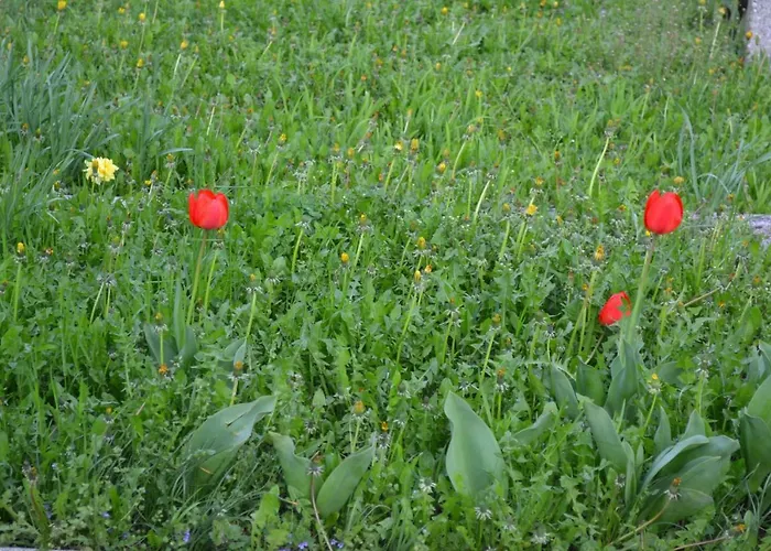 Apartamento Ka' Tari *