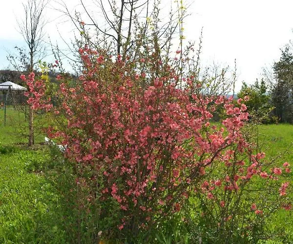 Ka' Tari Apartamento *