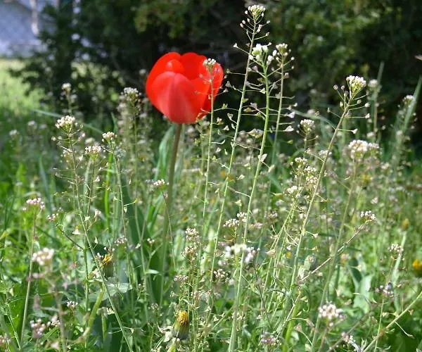 Ka' Tari Apartamento *