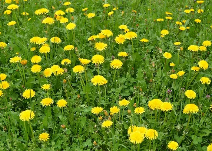 Apartamento Ka' Tari *