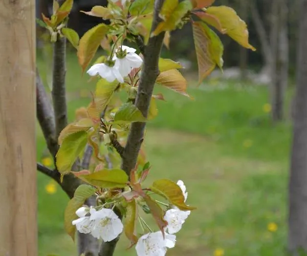Ka' Tari * Ponte nellʼAlpi