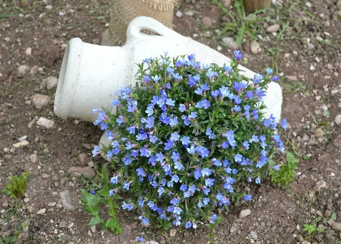 Ka' Tari Apartamento *