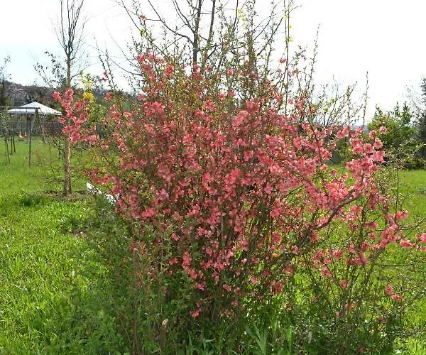 Apartamento Ka' Tari *